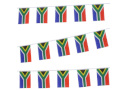 South African Bunting (6m)